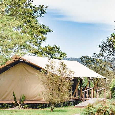 Silk Pavilions Glamping Mount Burrell Ngoại thất bức ảnh
