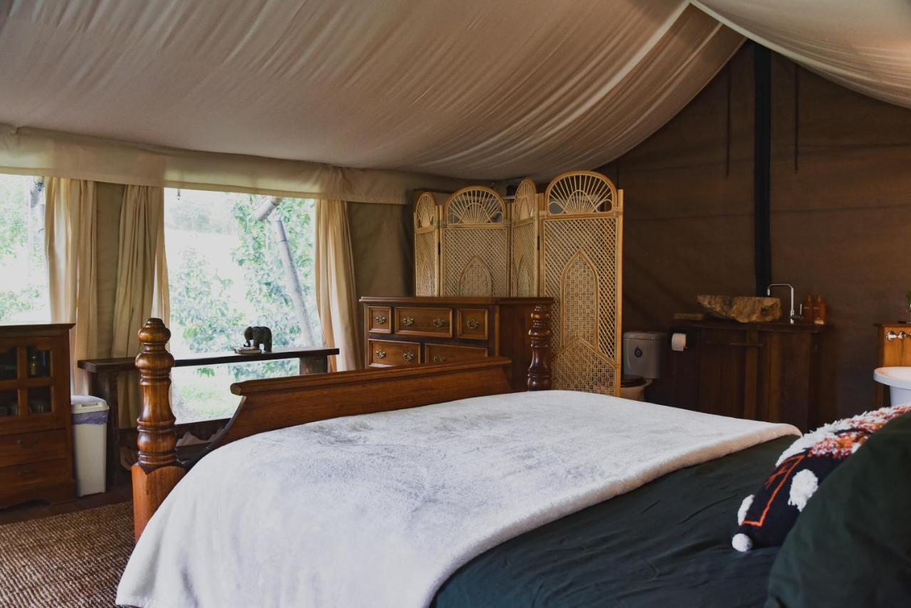 Silk Pavilions Glamping Mount Burrell Ngoại thất bức ảnh