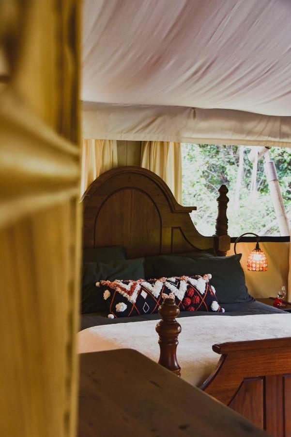 Silk Pavilions Glamping Mount Burrell Ngoại thất bức ảnh
