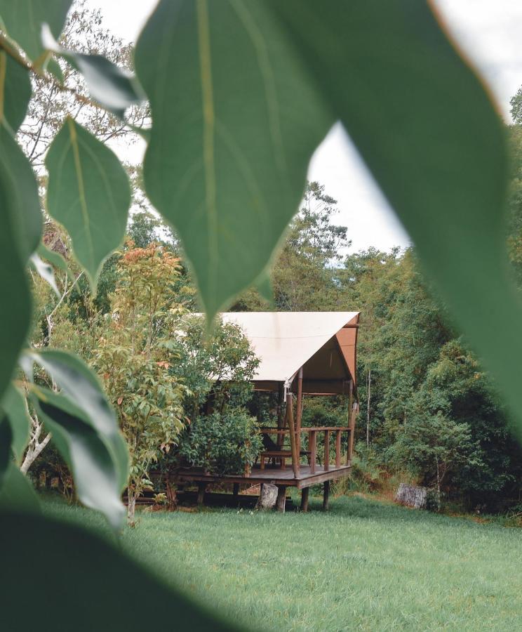 Silk Pavilions Glamping Mount Burrell Ngoại thất bức ảnh
