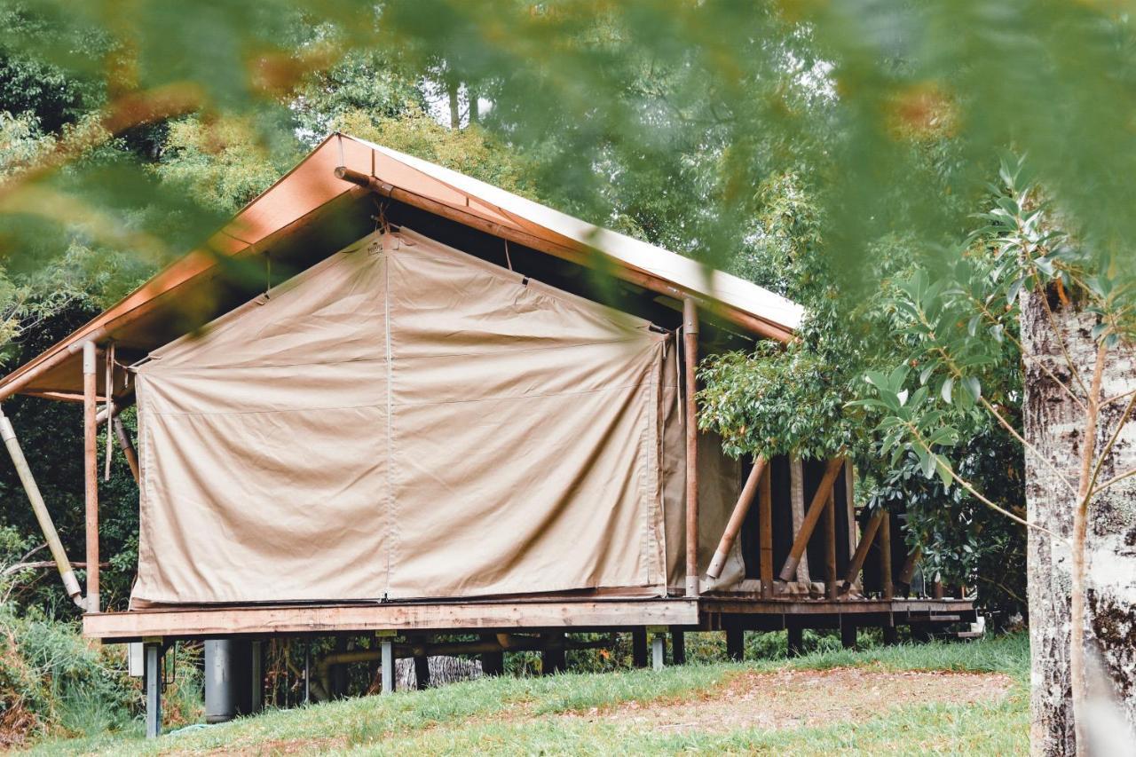 Silk Pavilions Glamping Mount Burrell Ngoại thất bức ảnh